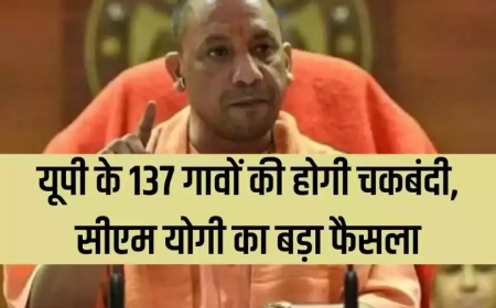 29 जिलों के 137 गांवों में होगी चकबंदी, 51 गांवों में पहले और 86 गांवों में दूसरे चक्र की चकबंदी होगी