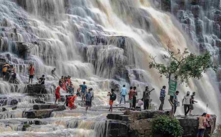 कांगेर घाटी की बहुरंगी खूबसूरती से मंत्र-मुग्ध हो जाते हैं पर्यटक