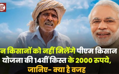 PM Kisan: बड़ी खबर! इन किसानों को नहीं मिलेंगे 14वीं किस्त के 2000 रुपये, जानिए- क्या है वजह