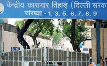 तिहाड़ जेल में गड्ढा खोदकर छिपाए मोबाइल व हथियार बरामद