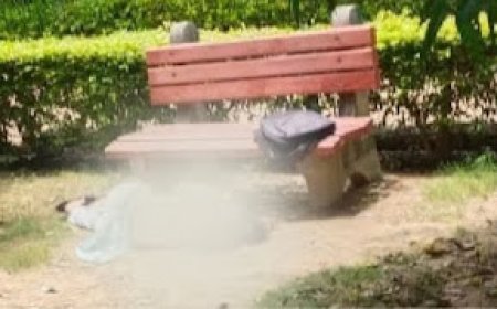पार्क में कॉलेज स्टूडेंट का शव मिला, लोहे की रॉड से हमला कर हत्या की गई