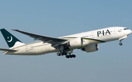 जयपुर-पाकिस्तान का एक विमान अचानक भारत में एंट्री कर गया