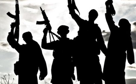 15 अगस्त को धमाके की फिराक में थे आईएस आतंकी, एनआईए ने पुणे से डाक्टर को दबोचा, केस में 5वीं गिरफ्तार