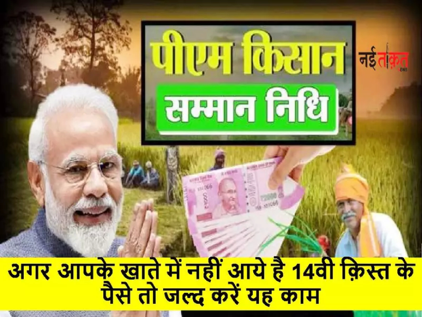 PM Kisan Yojana Payment List 2023: अगर आपके खाते में नहीं आये है 14वी क़िस्त के पैसे तो जल्द करें यह काम