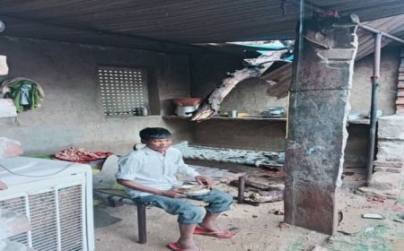 सीकर: प्रशासन का नकारापन: आखिर गिर ही गया गरीब के घर पेड़, बाल- बाल बची बुजुर्ग की जान