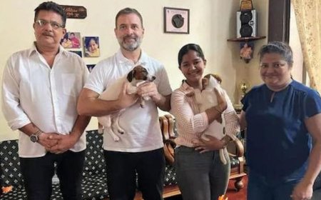 मुख्यमंत्री गहलोत की अध्यक्षता में आज शुक्रवार 12 बजे केबीनेट फिर मंत्रीपरिषद मीटिंग में नये बनाये 16 जिलो के सीमांकन के प्रस्ताव के पर विचार विमर्श होने के संकेत हैं।