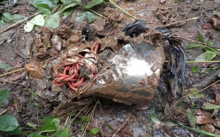 नक्सलियों की बड़ी साजिश नाकाम, IED बम को जवानों ने किया नष्ट