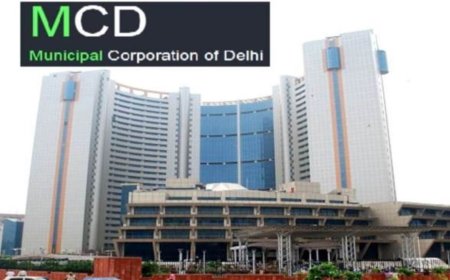 दिल्ली एमसीडी ने घर बैठे सभी समस्याओं के समाधान के लिए हेल्पलाइन नंबर और 311 ऐप जारी किया