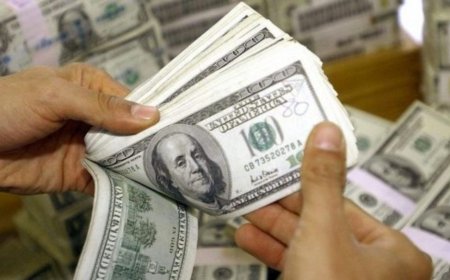 India Forex Reserves Data: विदेशी मुद्रा भंडार में भारत को घाटा, 3.165 बिलियन अमेरिकी डॉलर हुआ कम