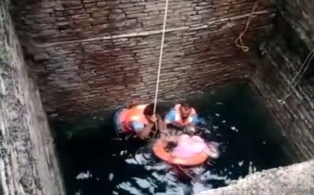 बावड़ी में संदिग्ध अवस्था में तैरती मिली महिला की लाश: फैली सनसनी, हत्या या आत्महत्या, जांच में जुटी पुलिस