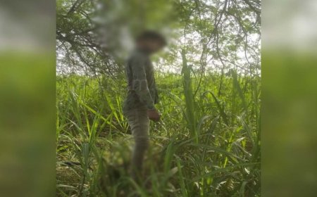 पेड़ पर लटकी मिली युवक की लाश, इलाके में फैली सनसनी, जांच में जुटी पुलिस