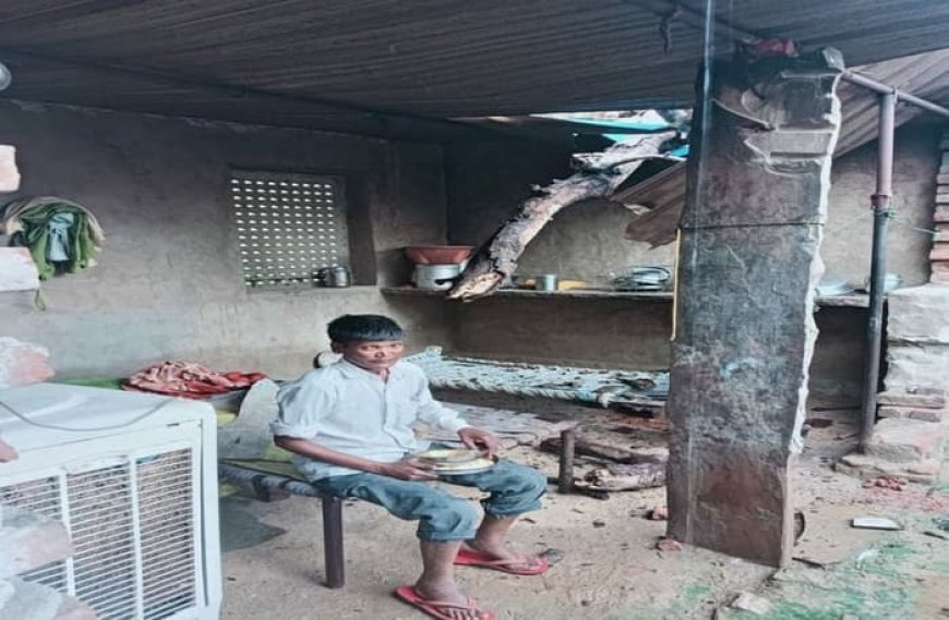 सीकर: प्रशासन का नकारापन: आखिर गिर ही गया गरीब के घर पेड़, बाल- बाल बची बुजुर्ग की जान