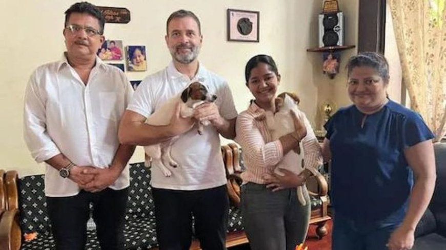 मुख्यमंत्री गहलोत की अध्यक्षता में आज शुक्रवार 12 बजे केबीनेट फिर मंत्रीपरिषद मीटिंग में नये बनाये 16 जिलो के सीमांकन के प्रस्ताव के पर विचार विमर्श होने के संकेत हैं।