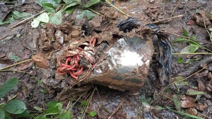 नक्सलियों की बड़ी साजिश नाकाम, IED बम को जवानों ने किया नष्ट