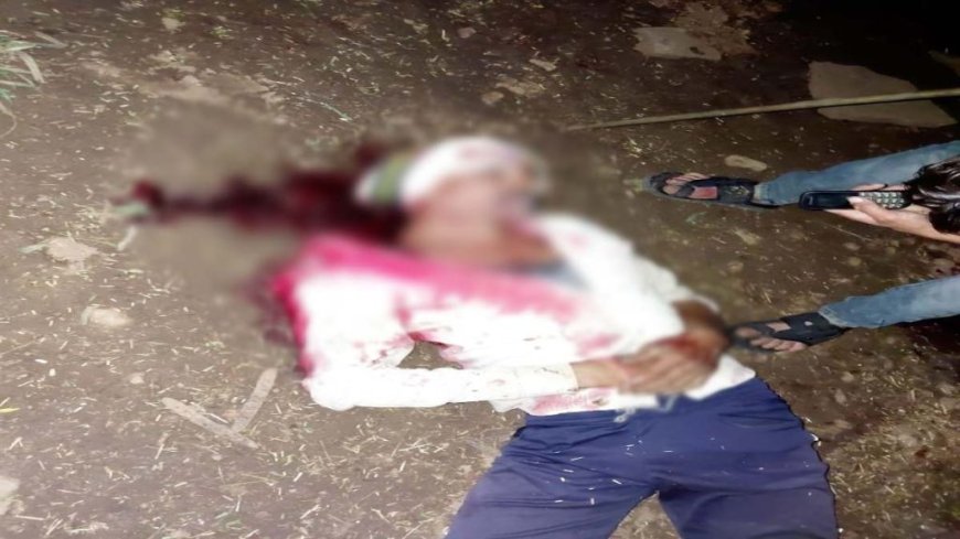 MP में डबल मर्डर: भतीजे ने कुल्हाड़ी से हमलाकर चाचा समेत 2 लोगों की हत्या की, बचाने आई चाची और बड़ी मां गंभीर घायल