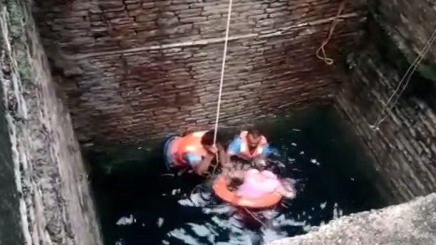 बावड़ी में संदिग्ध अवस्था में तैरती मिली महिला की लाश: फैली सनसनी, हत्या या आत्महत्या, जांच में जुटी पुलिस