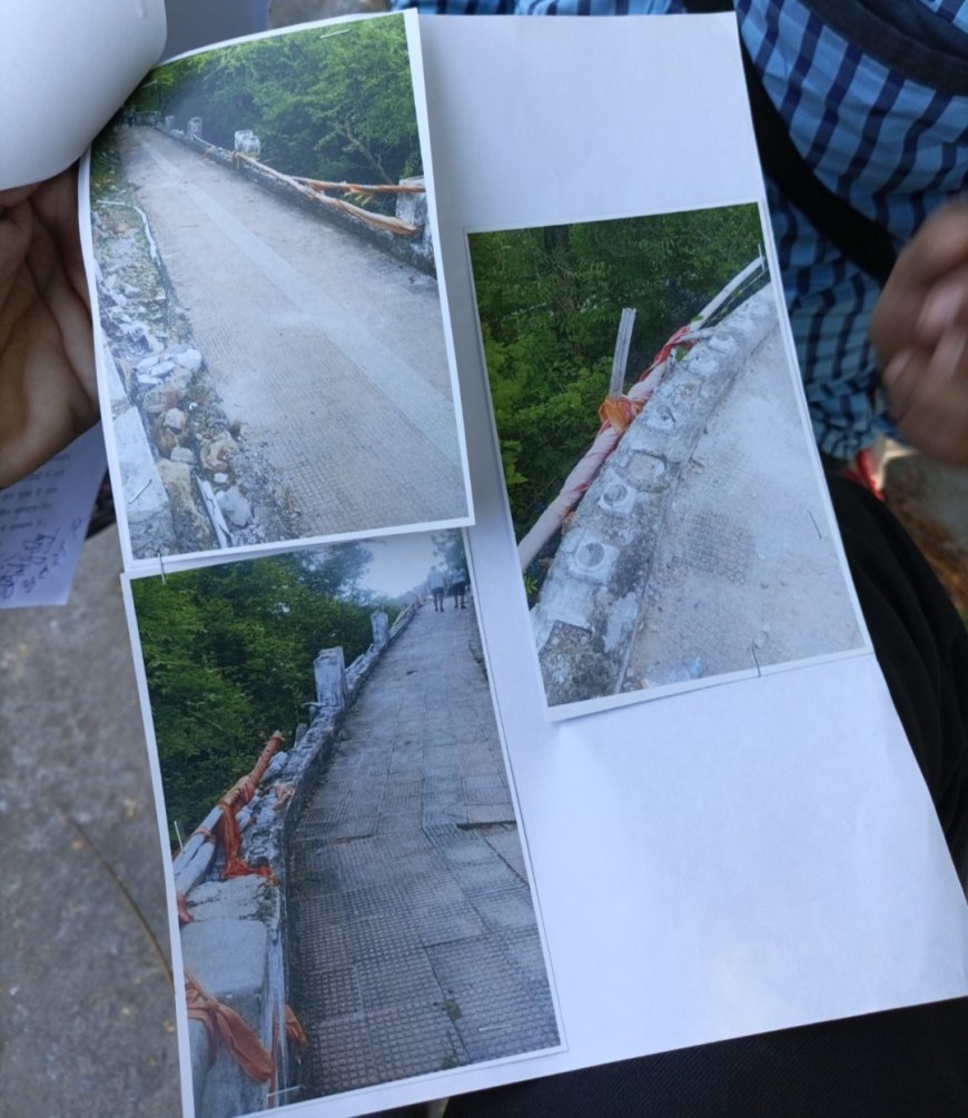 उदयपुर के देवाली में स्थित नीमच माता जी मंदिर का रास्ता क्षतिग्रस्त कलेक्टर को दिया ज्ञापन