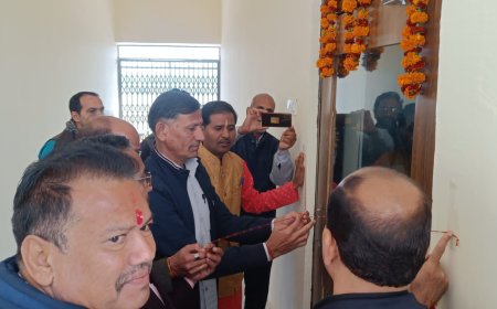 जिला कलक्टर ने की विकसित भारत संकल्प यात्रा की प्रगति की समीक्षा