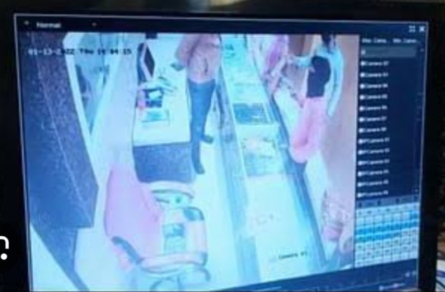 पाली में फायरिंग कर सोनार से लूट